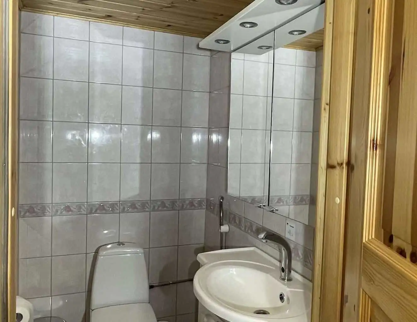 Villa Niemelä toilet