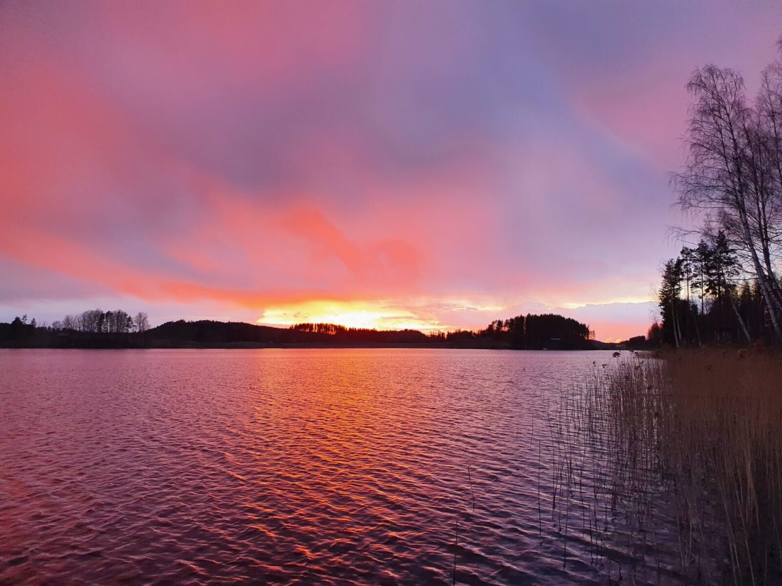 Lake Simpelejärvi – Finland's Hidden Pike & Zander Paradise 2 maisema scaled