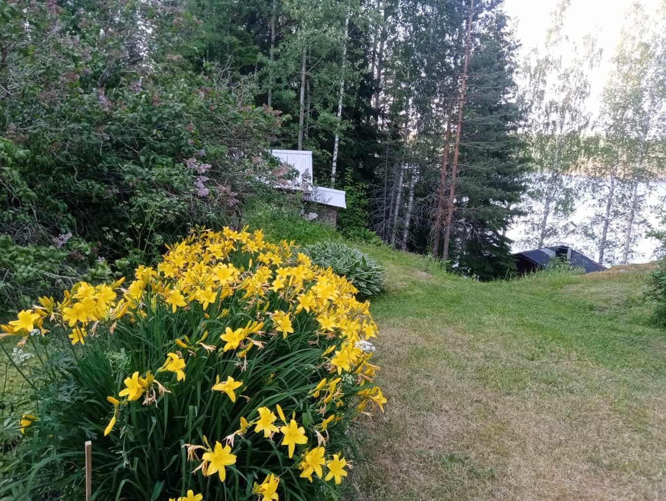 Villa Rock Saimaa garden and view to Saimaa