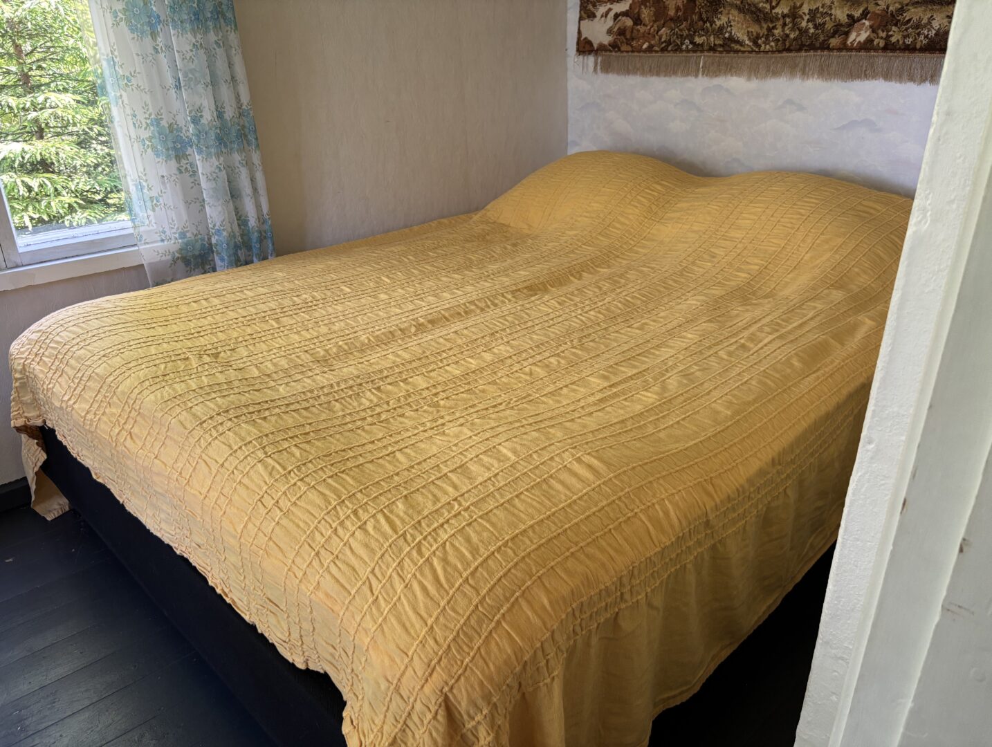 IMG 1679