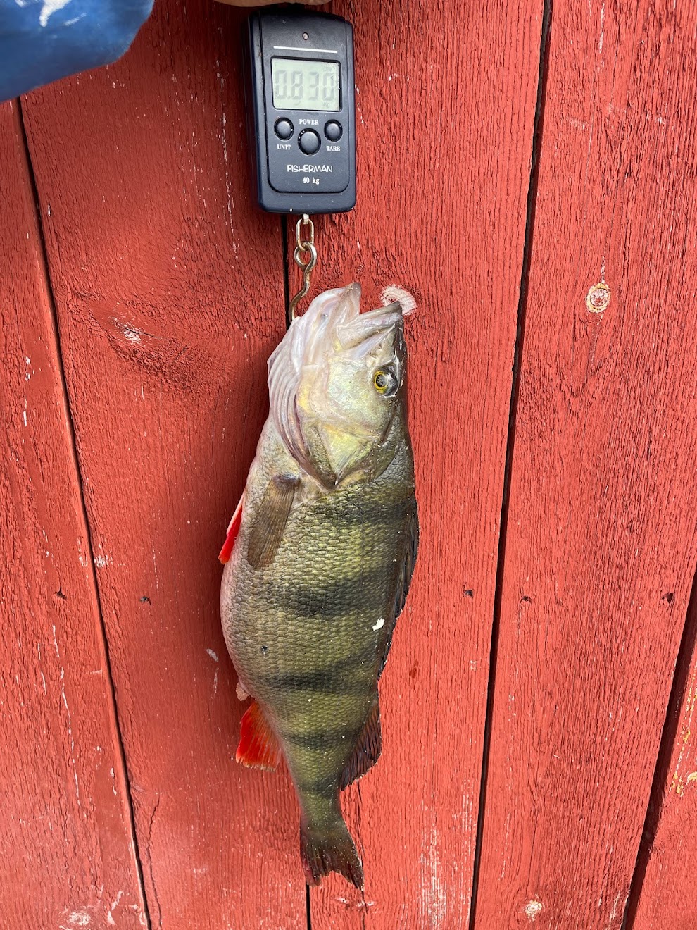 Winter Fishing 5 IMG 5833