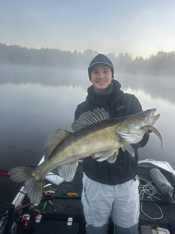 Big Zander Catch at Lake Simpele – Premium Fishing Holidays in Finland